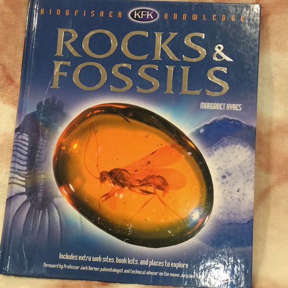 Rocks & Fossils Book by Kingfisher Knowledge Geology Science Read Resale - Picture 7 of 14
